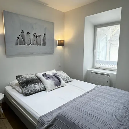 Apartment Le Grand Duc *
