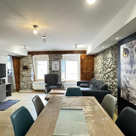 Le Grand Duc Apartment Cauterets